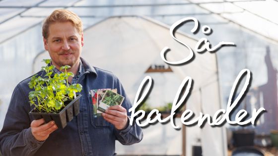 GjordNära så-kalender