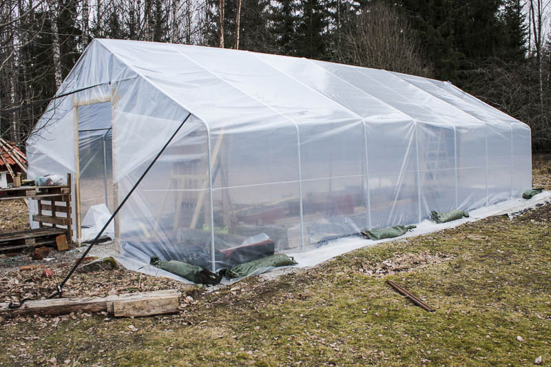 GjordNära växthus med hel plast där växthuset är inslaget som ett paket - Inte bästa metoden men på ett litet växthus funkar det bra.