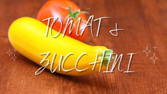 Tomat & Zucchini