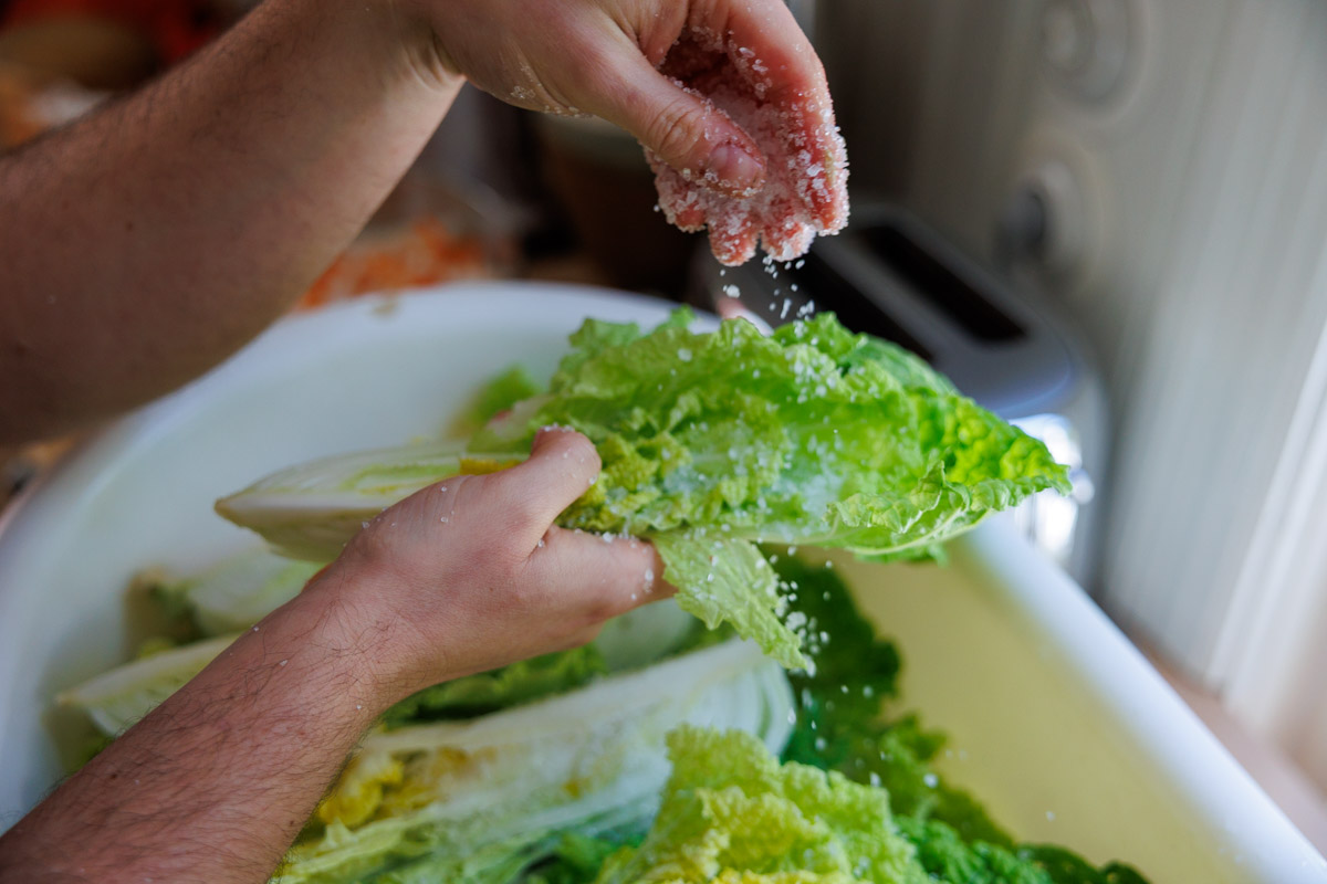 Hand saltar salladskål till kimchi