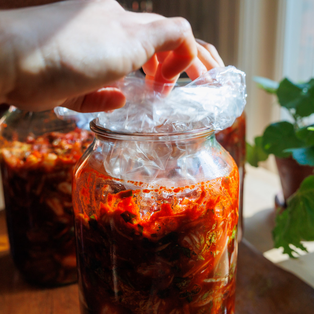 Plastpåse träs över kimchi i glasburk