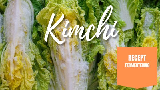 Kimchi på vårens salladskål