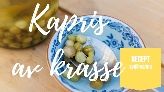 Krassekapris – picklade gröna krassefrön