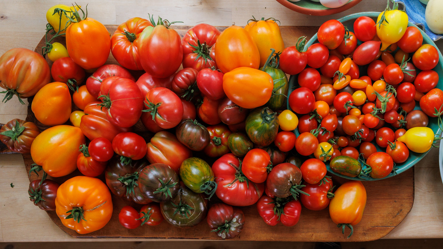 Stor tomatskörd i många färger på en skärbräda.