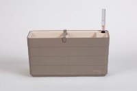 Berberis_40_taupe_1