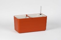 Berberis_40_terrakotta_1