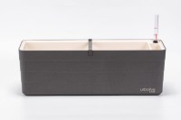 Berberis_60_antracit_ivory_19