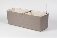 Berberis_60_taupe_1