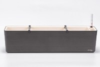 Berberis_80_antracit_ivory_1