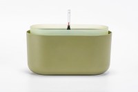 Tolita_oval_gron_1