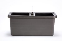 berberis_duo_antracit_1