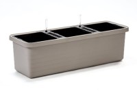 berberis_trio_taupe_1