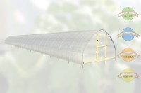 Caterpillar Tunnelväxthus